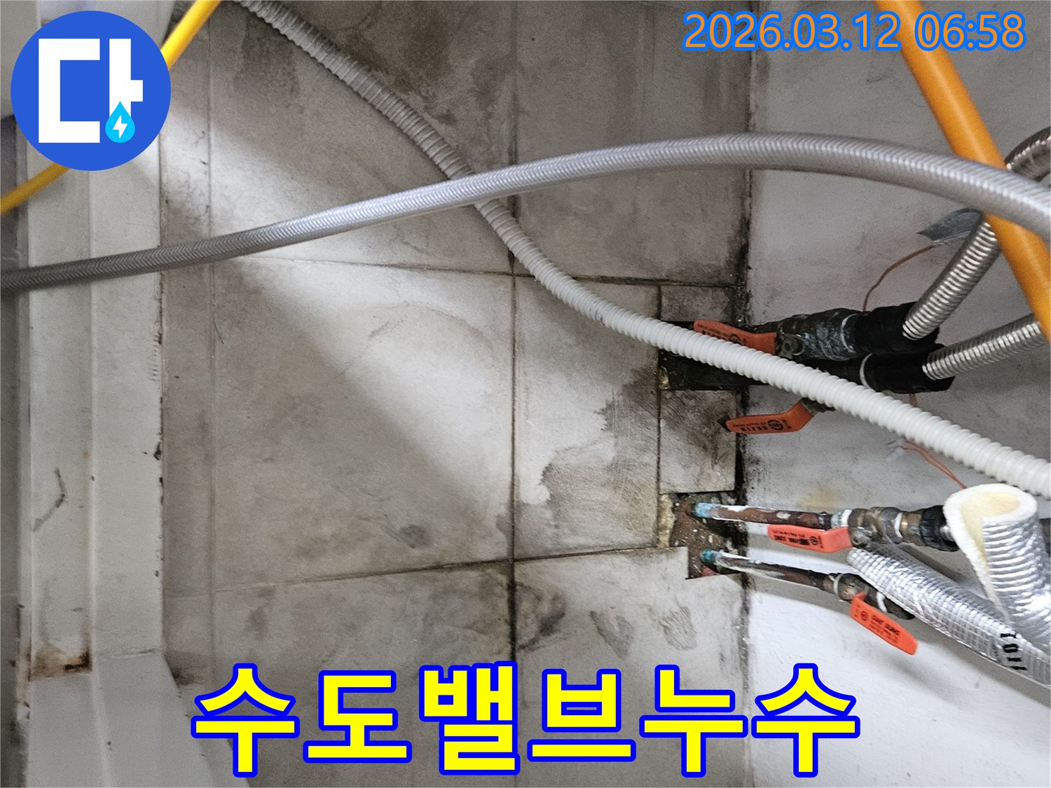 수도-배관의-밸브-주변에서-발견된-물-자국과-습기를-확인하며-누수-지점을-정밀-점검하는-모습