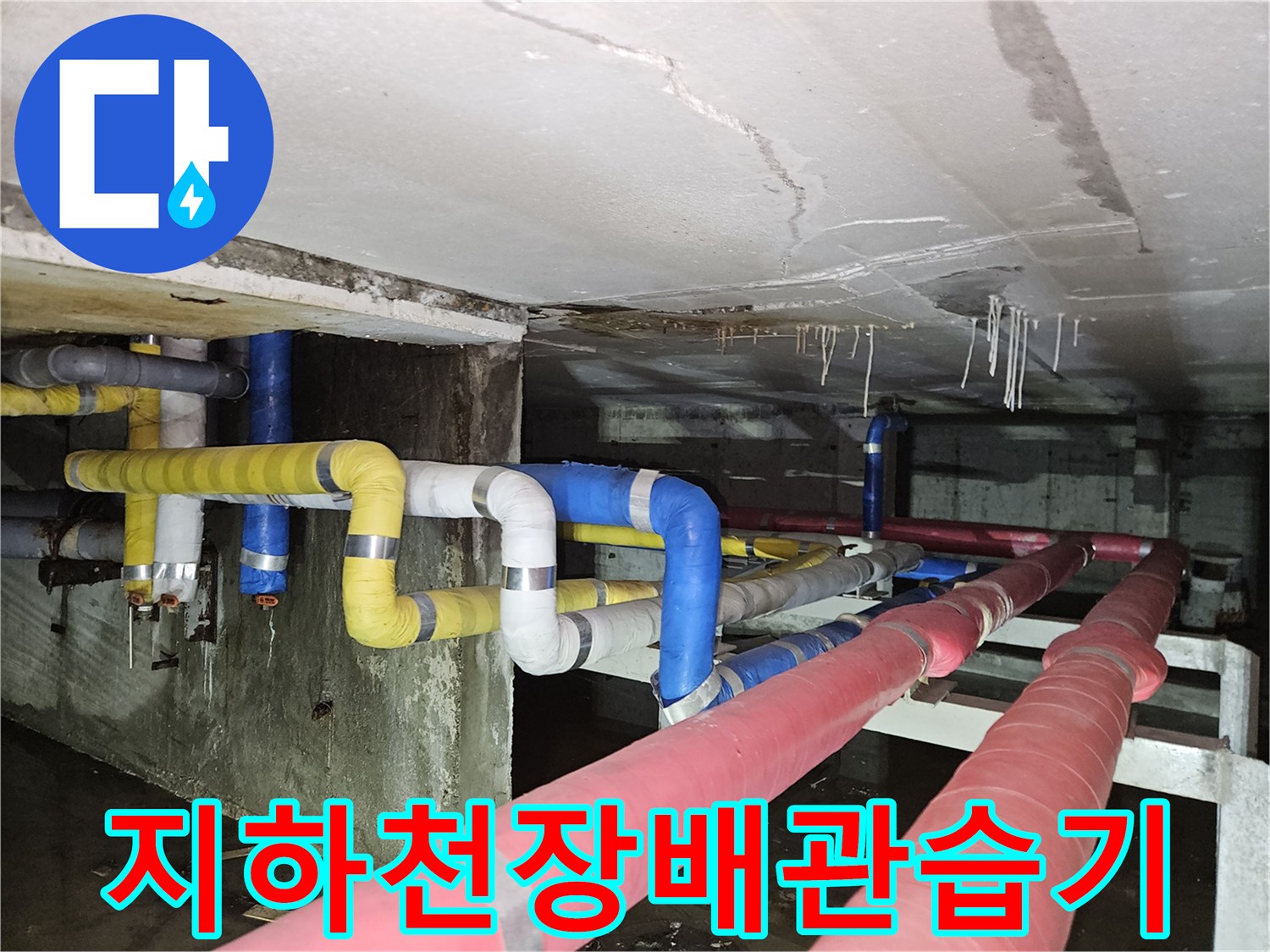 분당구미동-빌라-지하-천장-배관-보온재-젖음-현상