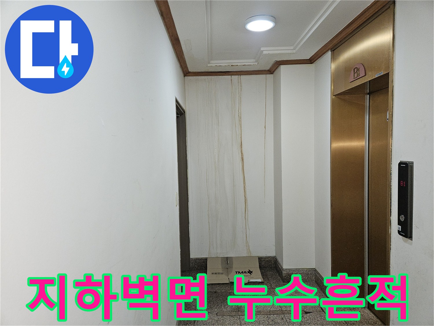 빌라 지하층 엘리베이터 옆 벽면에 나타난 누수 얼룩과 습기