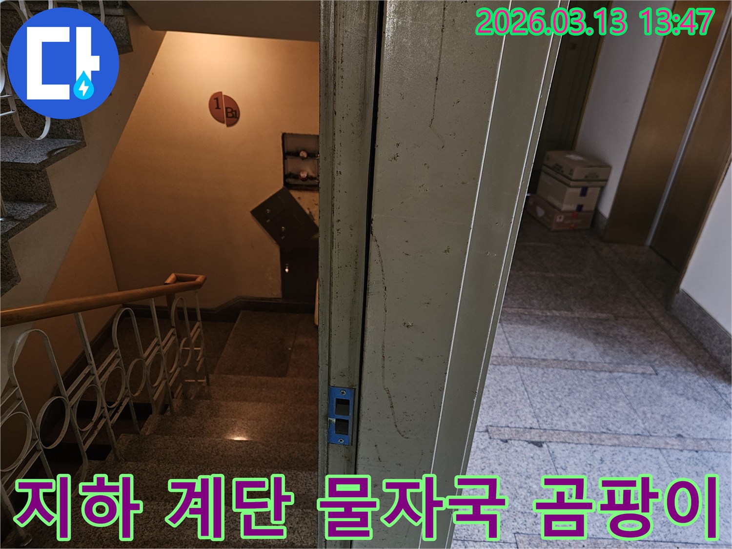 상가-건물-지하-계단-벽면과-문틀에-나타난-물자국과-곰팡이를-자세히-분석하는-사진