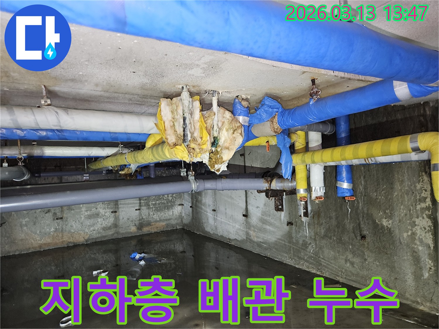 지하-공간에-고인-물과-손상된-배관-보온재가-보이는-누수-현장