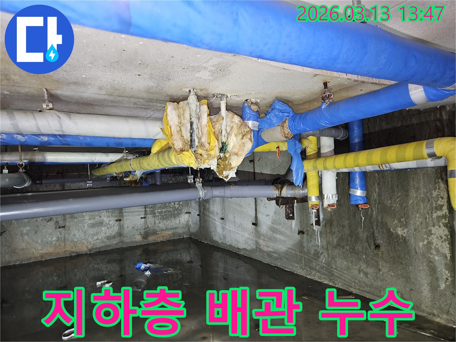 지하-바닥에-물이-고여있고-배관-보온재가-손상된-누수-현장