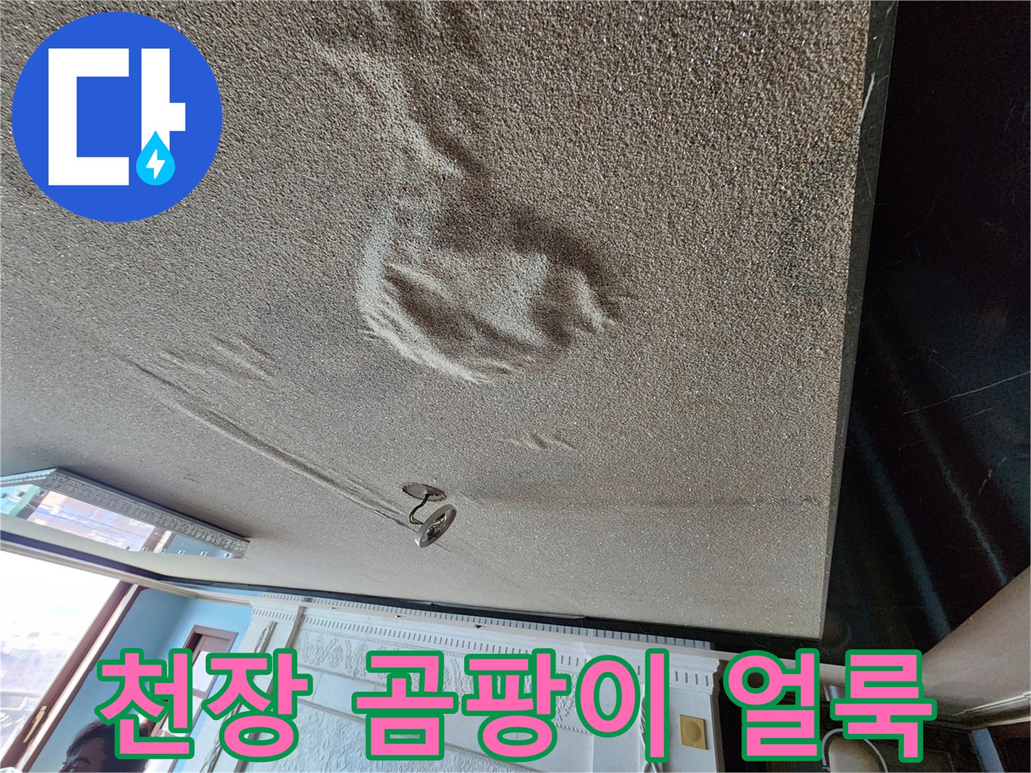물샘으로 인해 곰팡이가 발생한 천장 내부 모습