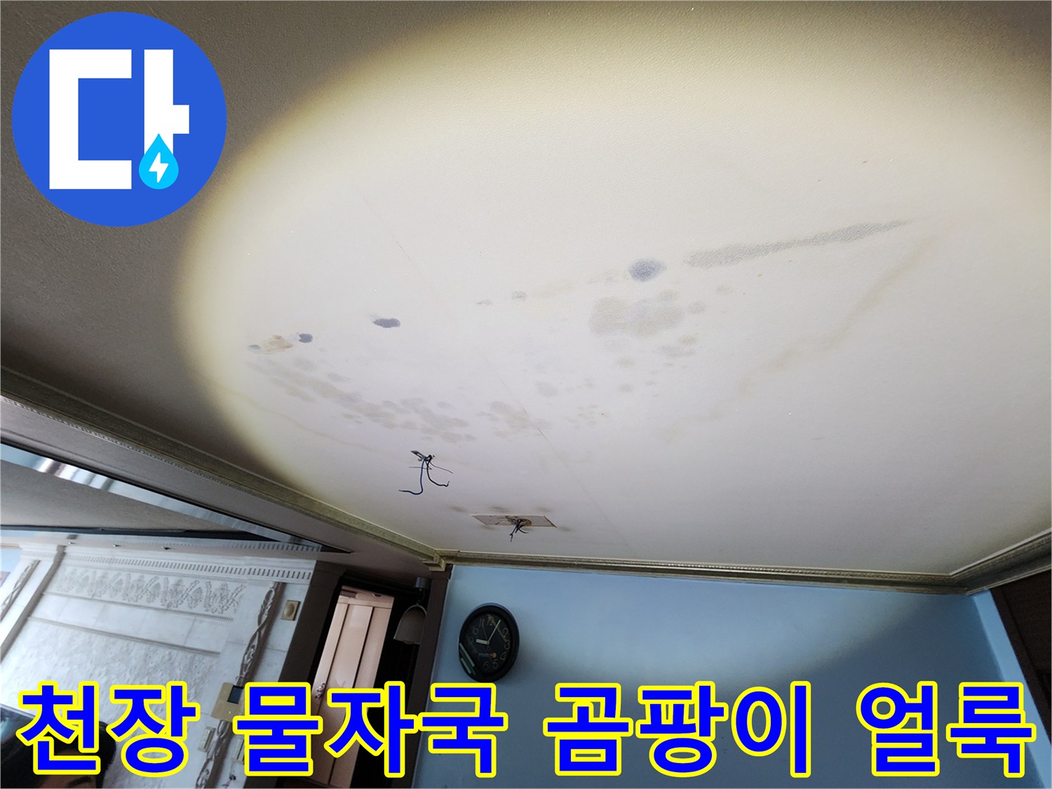 아랫집-거실-천장에-발생한-넓은-물자국과-곰팡이-상태
