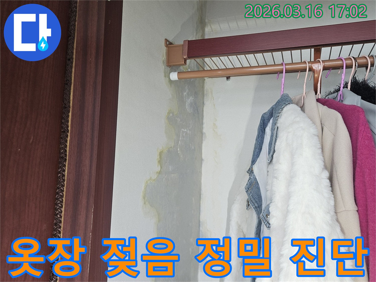 옷장 벽면 하단과 바닥에 누수로 인해 물기가 스며들고-누런 얼룩과 곰팡이가 넓게 퍼져 있는 모습