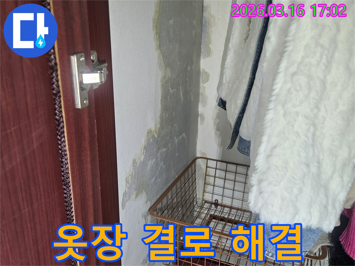 옷장 안쪽 벽면에- 발생한- 결로 현상과- 곰팡이로 인한- 오염
