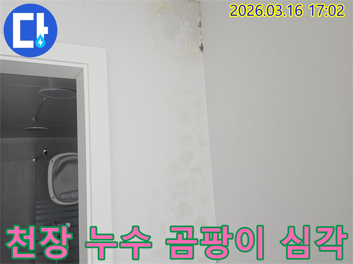 욕실 천장 모서리에 누수로 인한 심각한 곰팡이와 얼룩이 퍼진 모습입니다