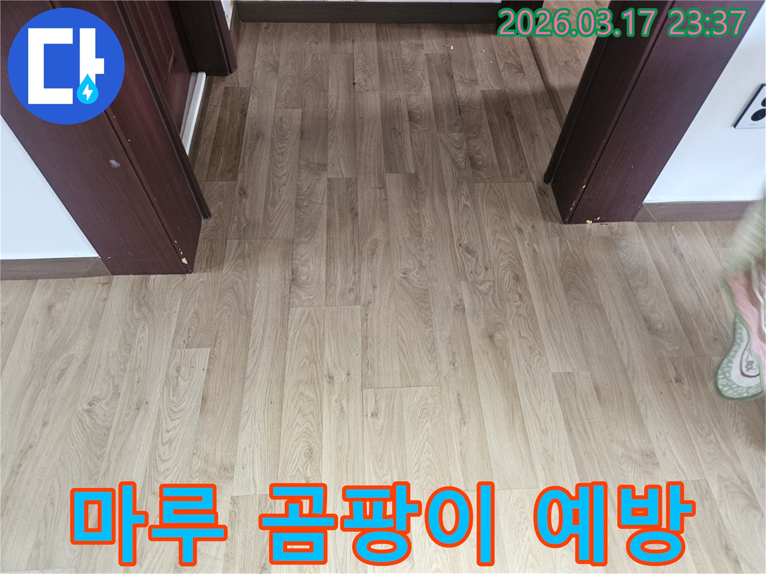 누수로 인해 발생할 수 있는-바닥 마루의 곰팡이를 예방하기 위해-현재 상태를 점검하는 사진입니다.