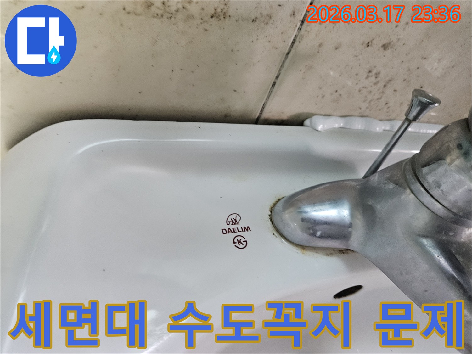 대림 로고가 선명한 세면대 수도꼭지 하단에- 녹슬고 물때 낀 모습이- 고질적 누수 문제를 시사합니다