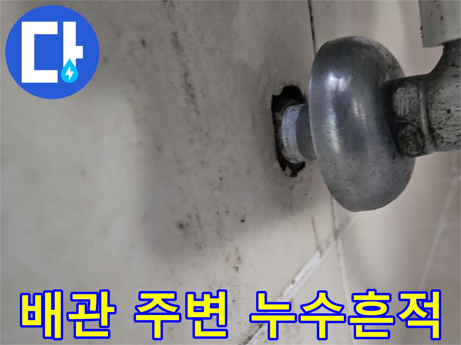 배관 연결 부위 주변의 젖은 천장 마감재
