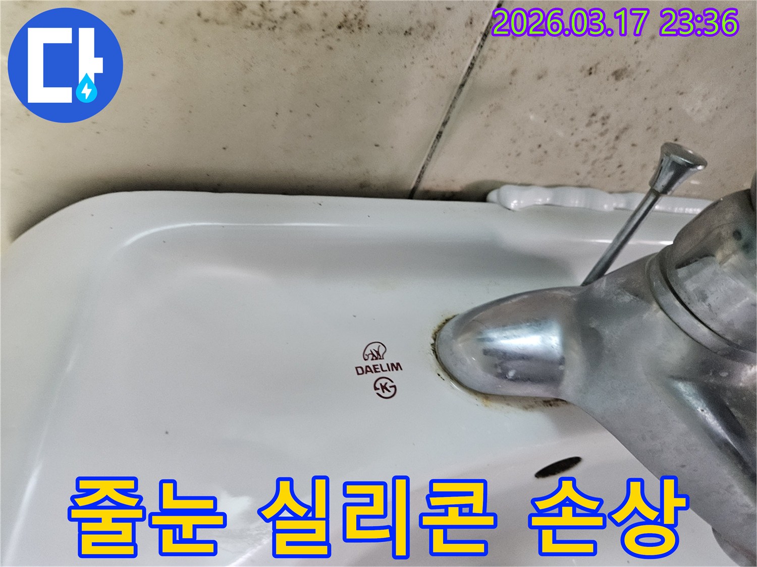세면대 뒤편 벽타일에- 번식한 곰팡이가- 줄눈과 실리콘 손상으로 인한- 누수를 시사합니다