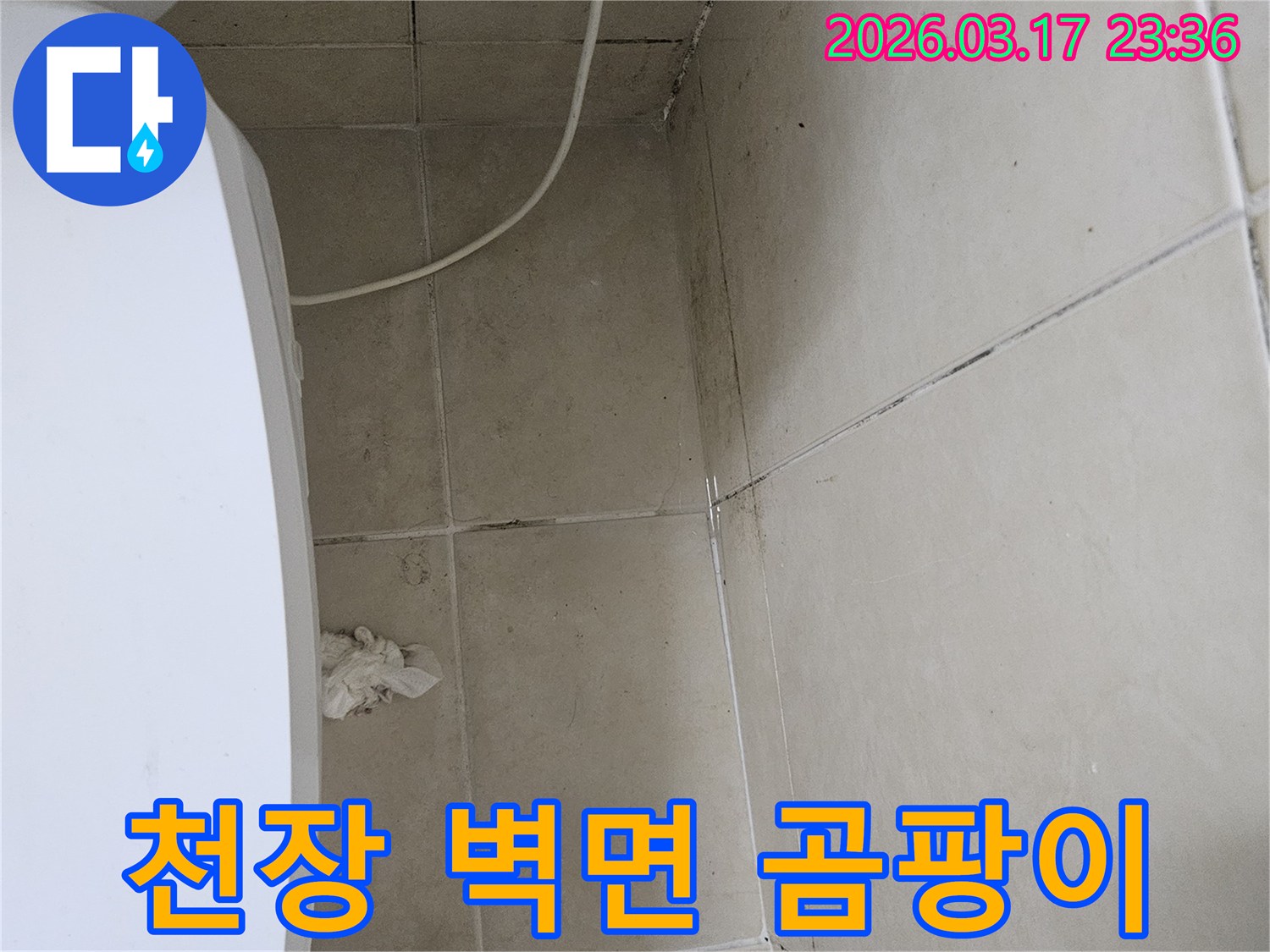 이 사진은-욕실-천장과-벽면-모서리에-발생한-심각한-곰팡이와-오염을-보여주며-이는-누수로-인한-지속적인-습기-침투를-의미합니다