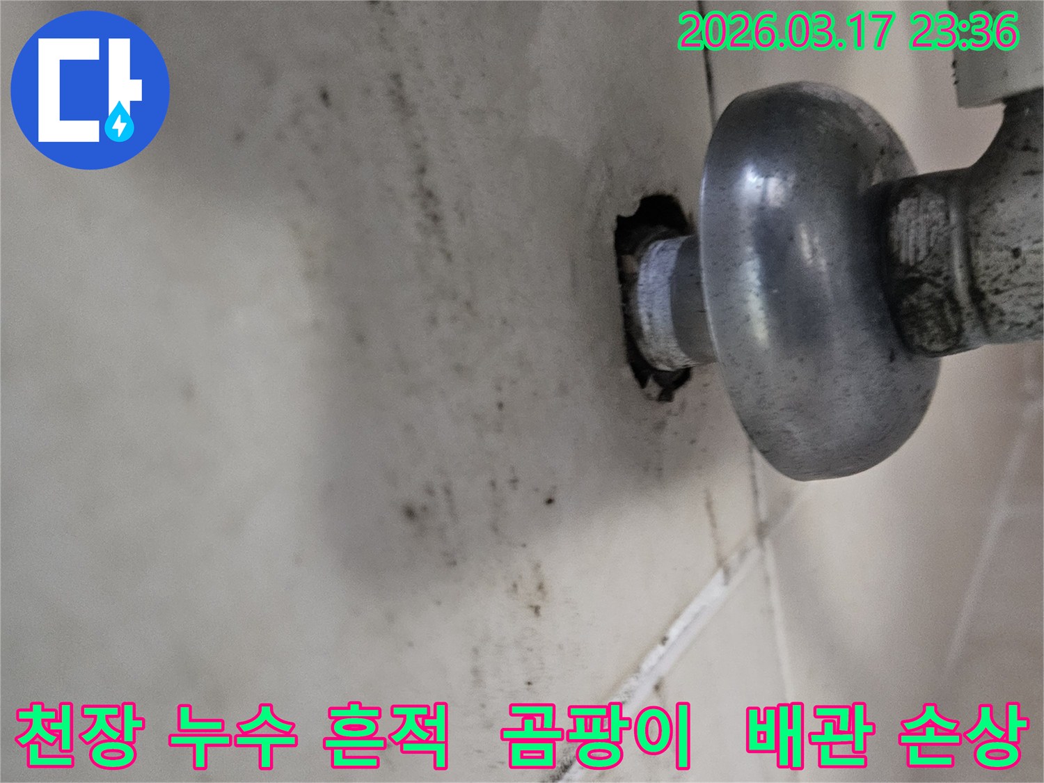 천장에서-발견된-심각한-누수-흔적과-오염된-배관-모습