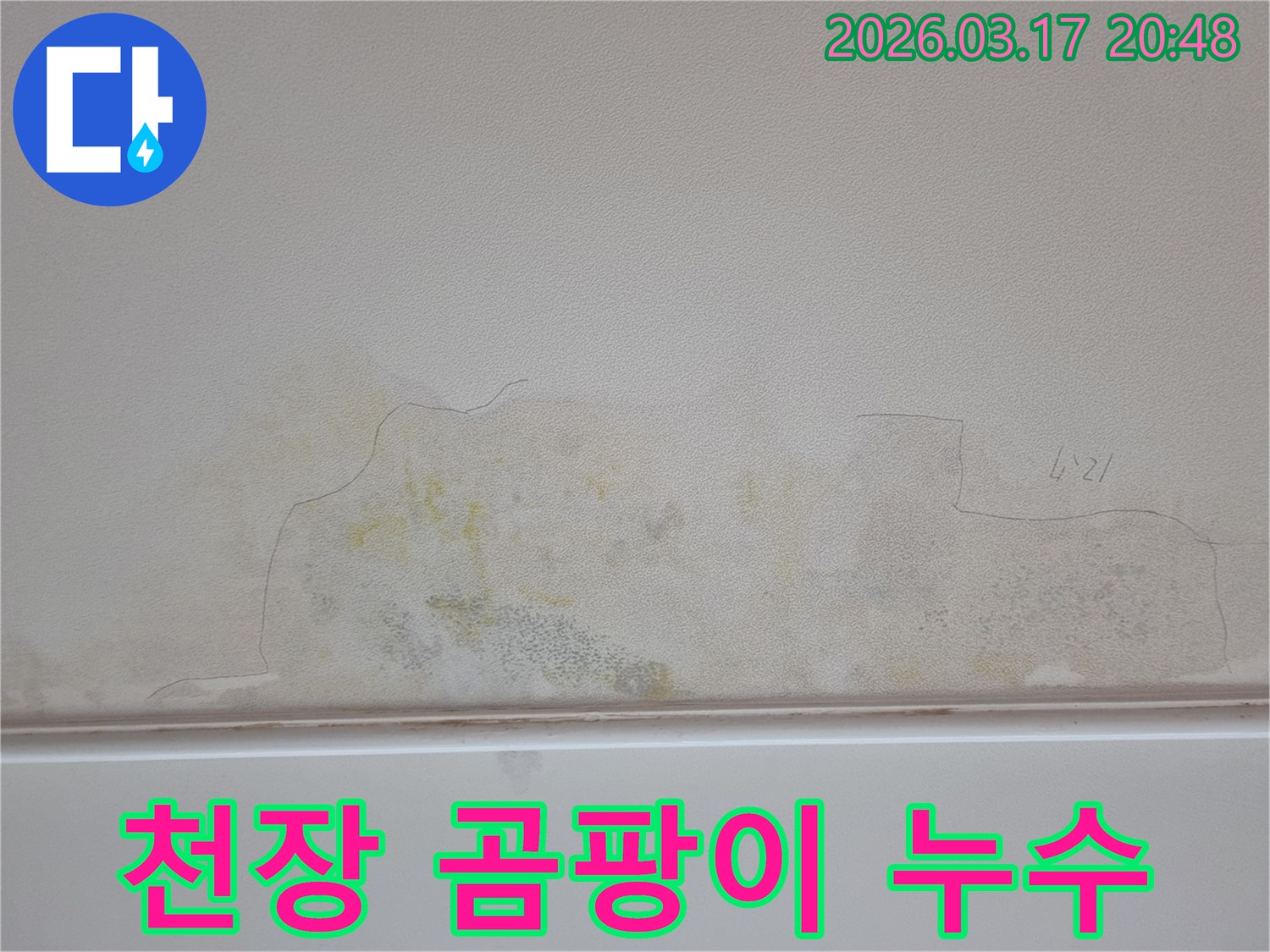 누수 발생으로 천장에 생긴 젖은 흔적과 곰팡이-신속한 조치가 필요합니다
