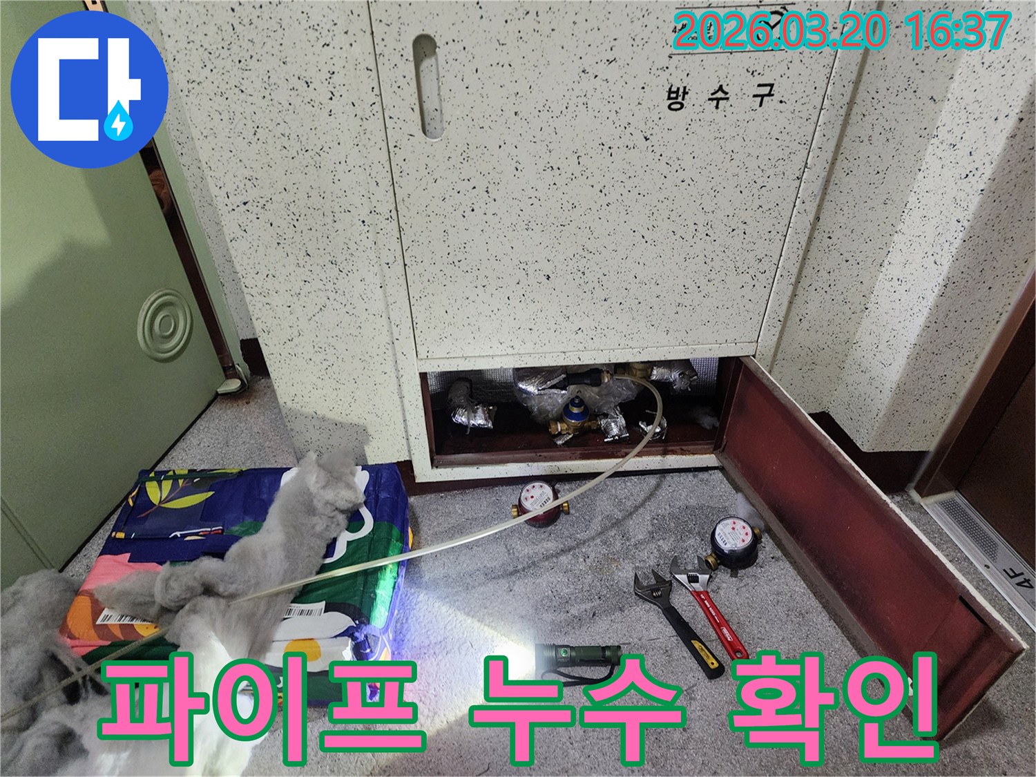 누수 탐지 현장에서-전문 장비를 사용하여-배관 상태를 점검하는 모습