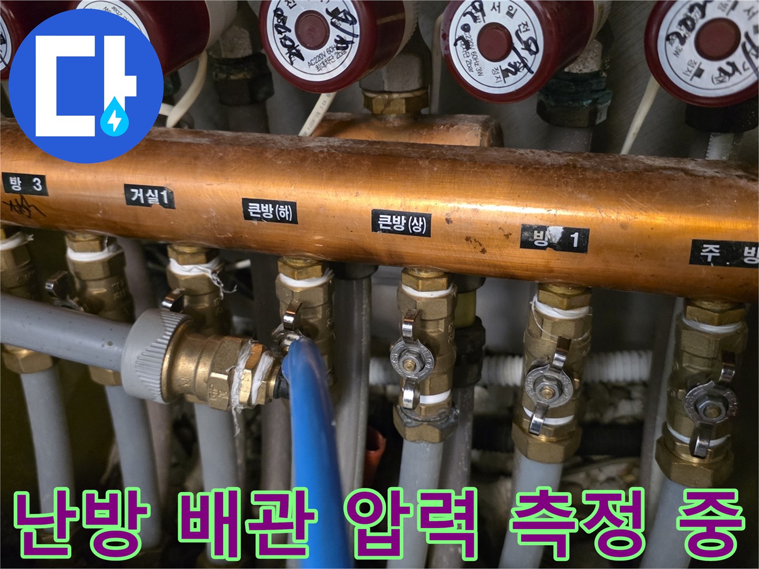 분배기에-연결된-파란색-호스와-각-구역별-밸브-상태