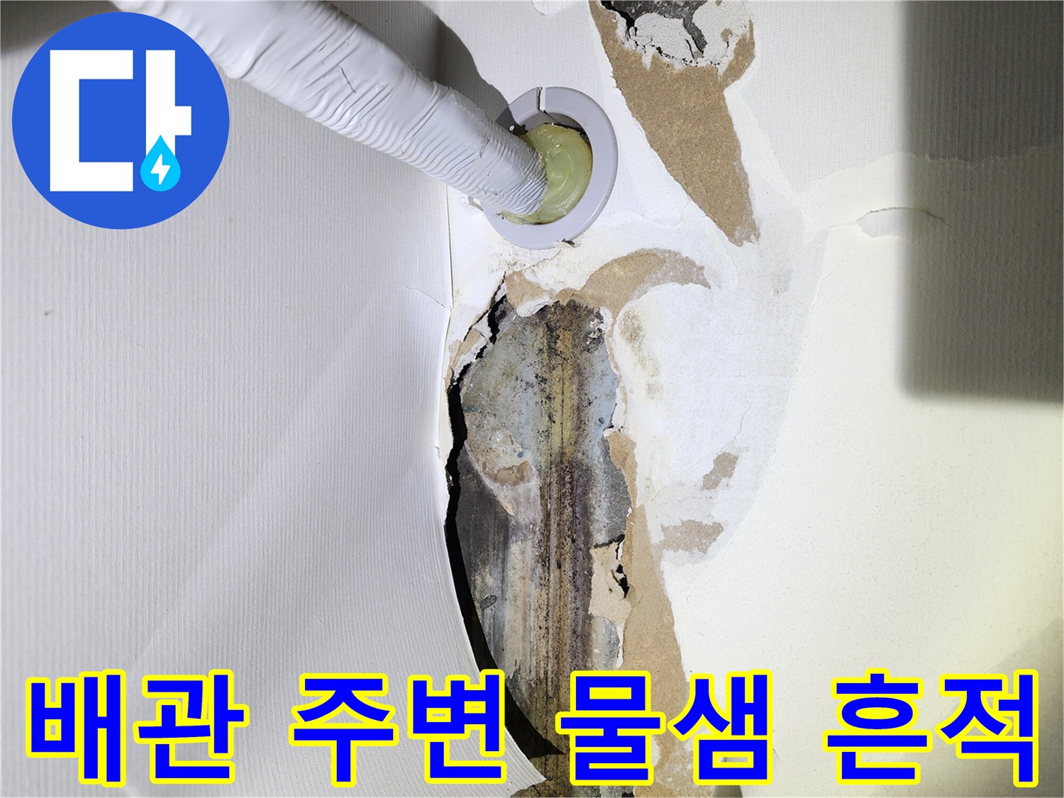 배관-주변-벽면-침수-및-오염-상태