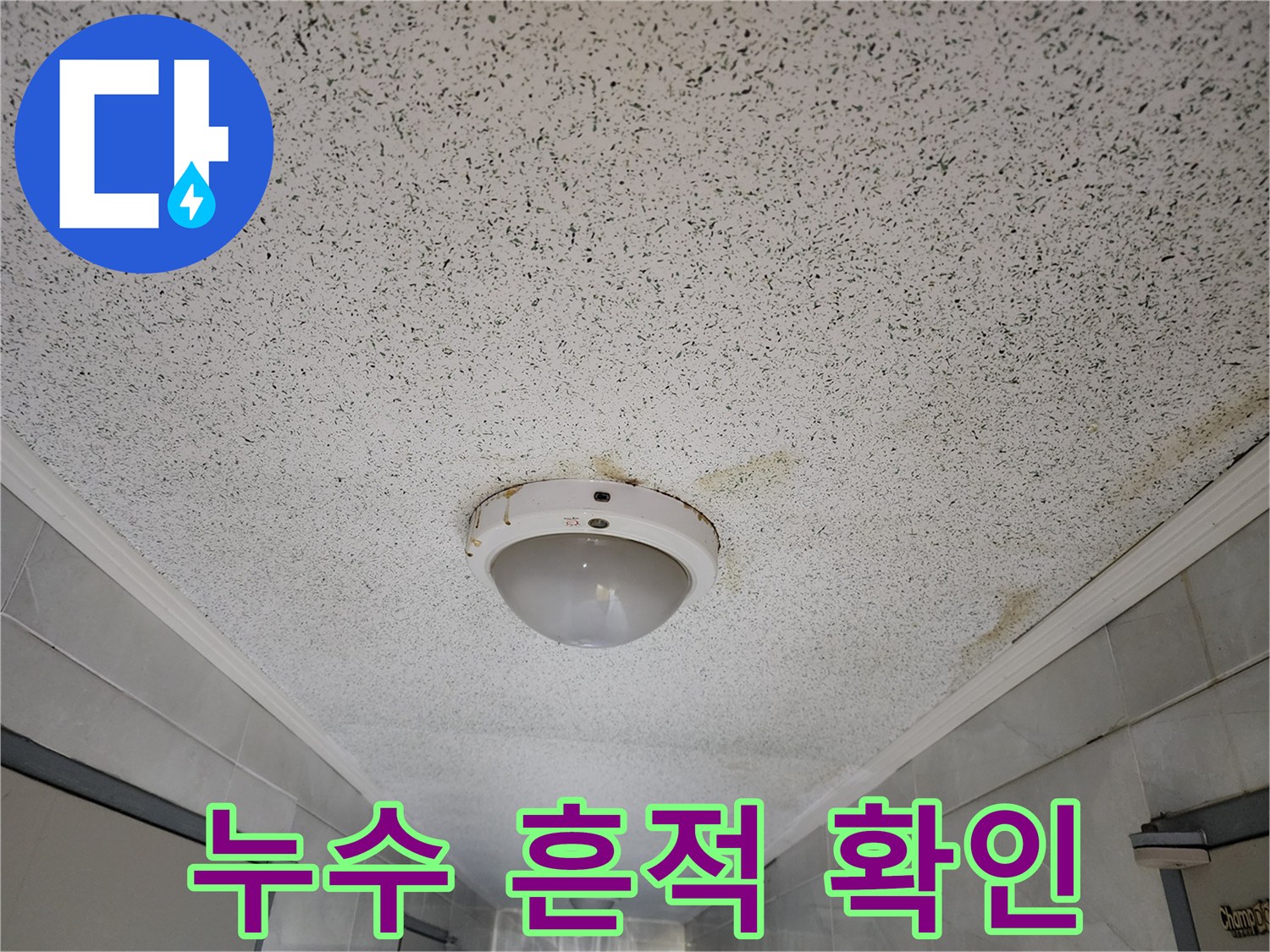 천장 조명 주변의 물샘으로 인한 얼룩