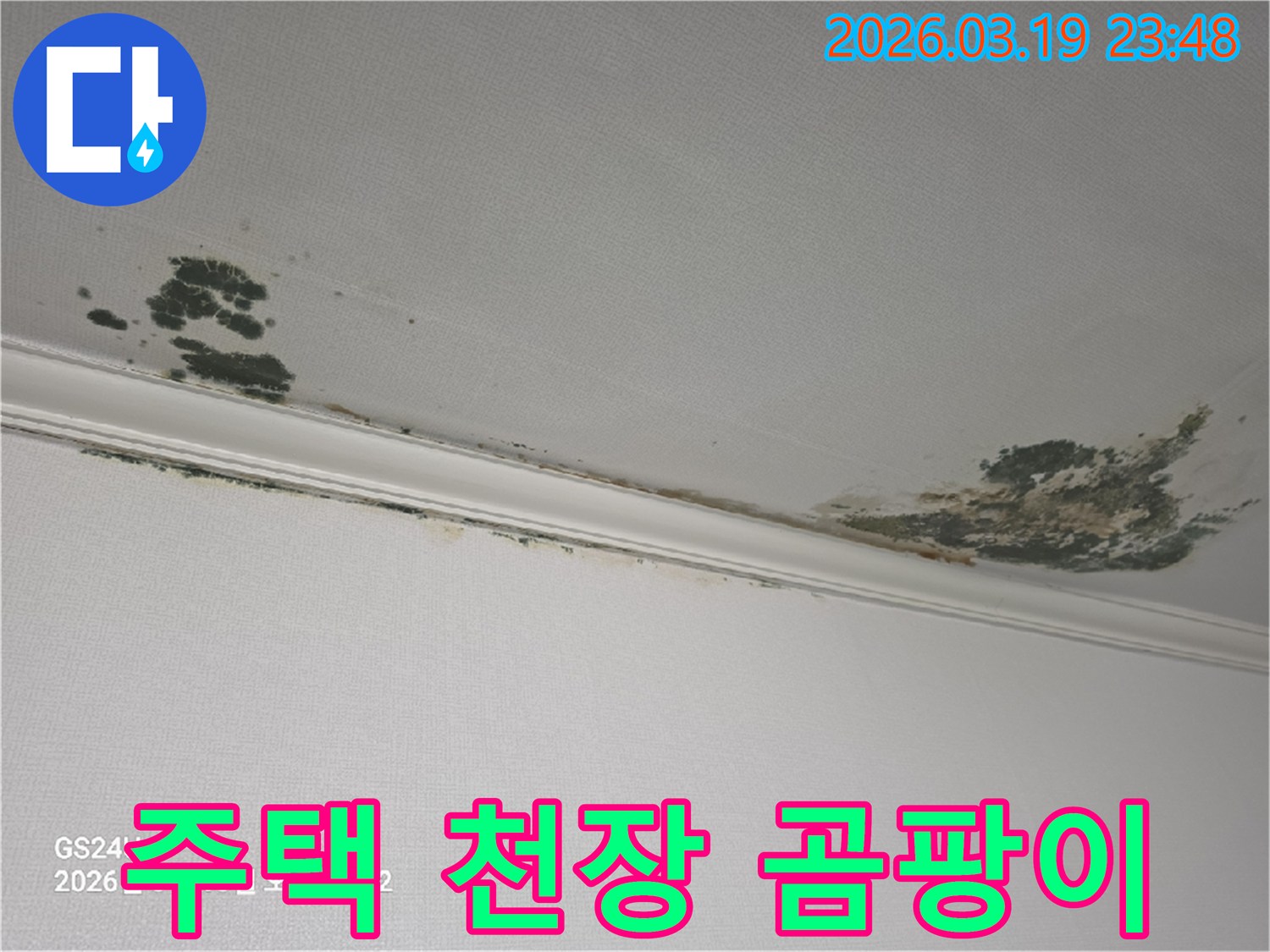 주택-천장-누수-발생-곰팡이와-물자국-확인-정확한-탐지가-필수