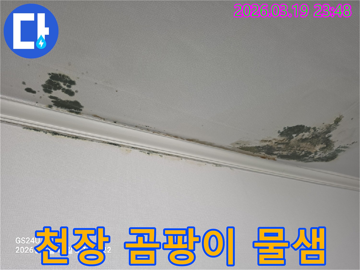 천장-누수-피해-곰팡이와-물샘-발생-모습-전문적인-공사가-필요한-상황
