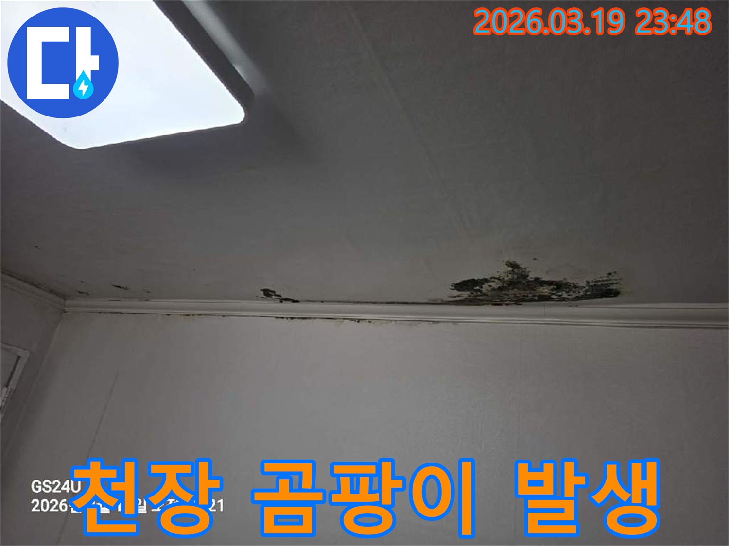 천장-모서리-부분에-누수로-인해-물얼룩과-곰팡이가-발생한-심각한-현장-사진