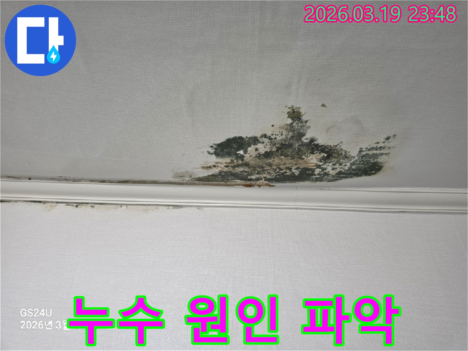 천장-벽지에-발생한-광범위한-곰팡이-오염으로-누수-원인-탐지가-시급한-상황