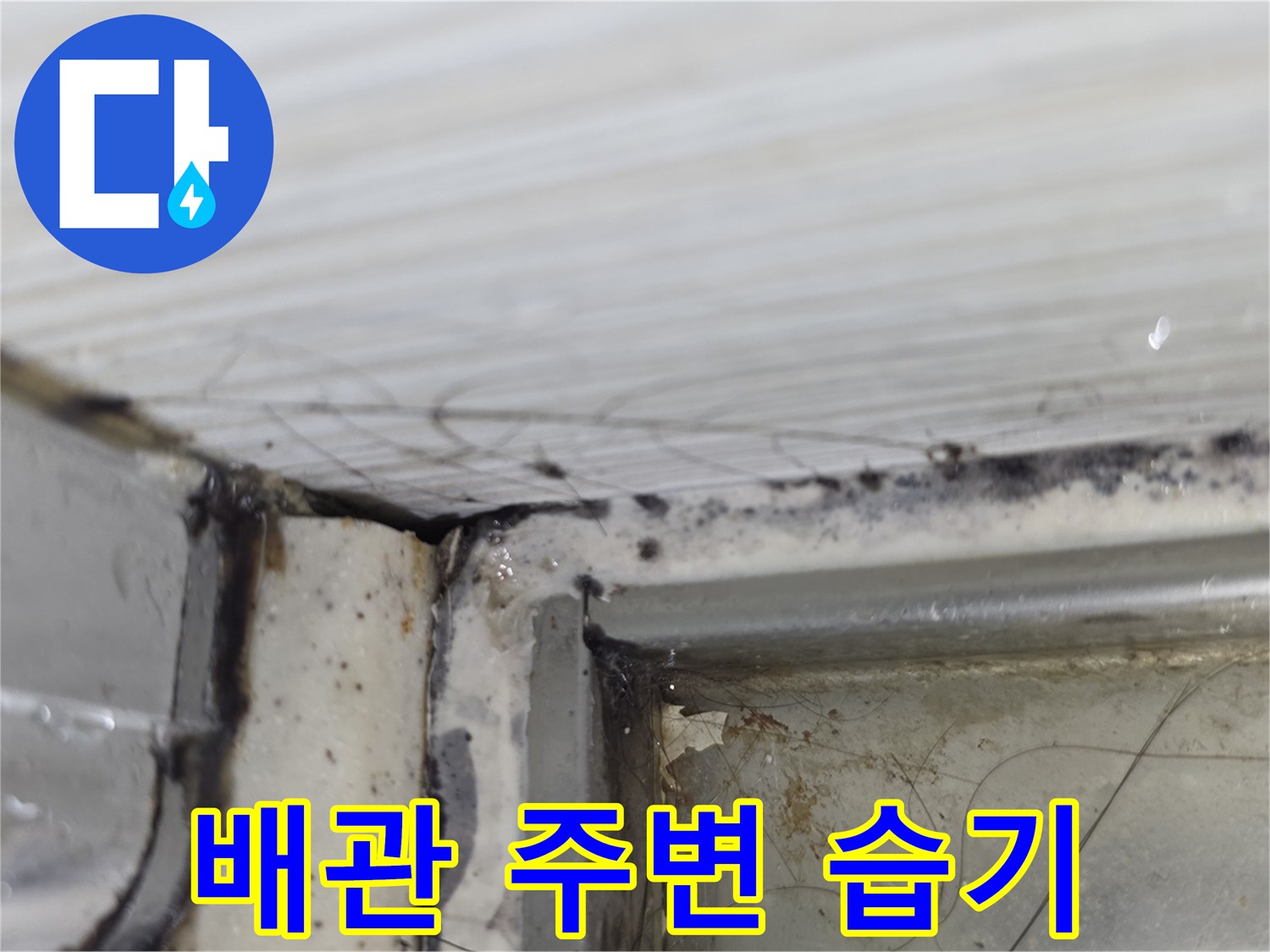 천장-구조물-사이로-스며든-습기와-오염된-자국