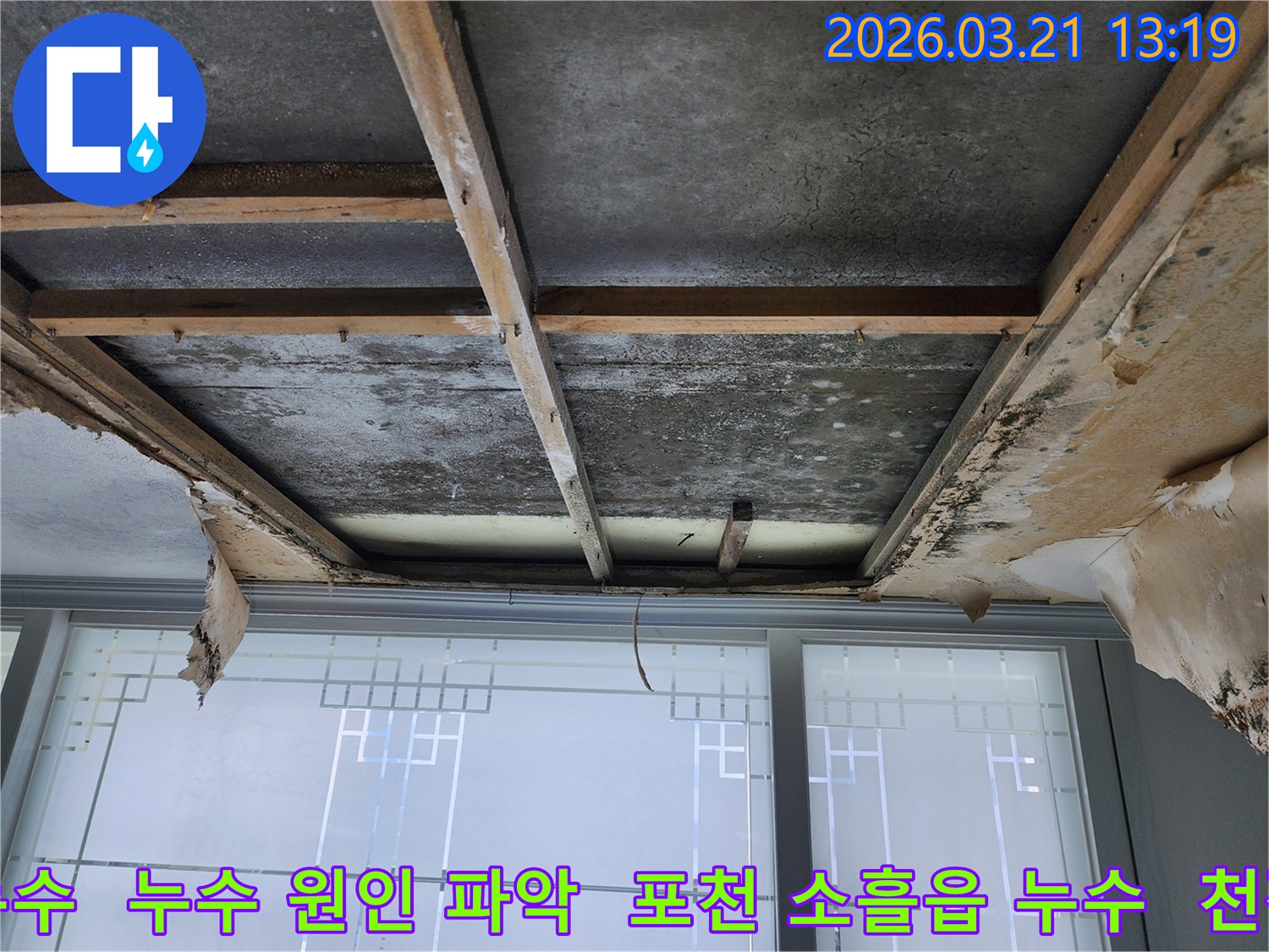 주택-천장에서-누수-흔적이-발견되어-마감재를-제거한-상태로-콘크리트-천장과-목재-프레임에-물자국과-곰팡이가-확인됩니다.