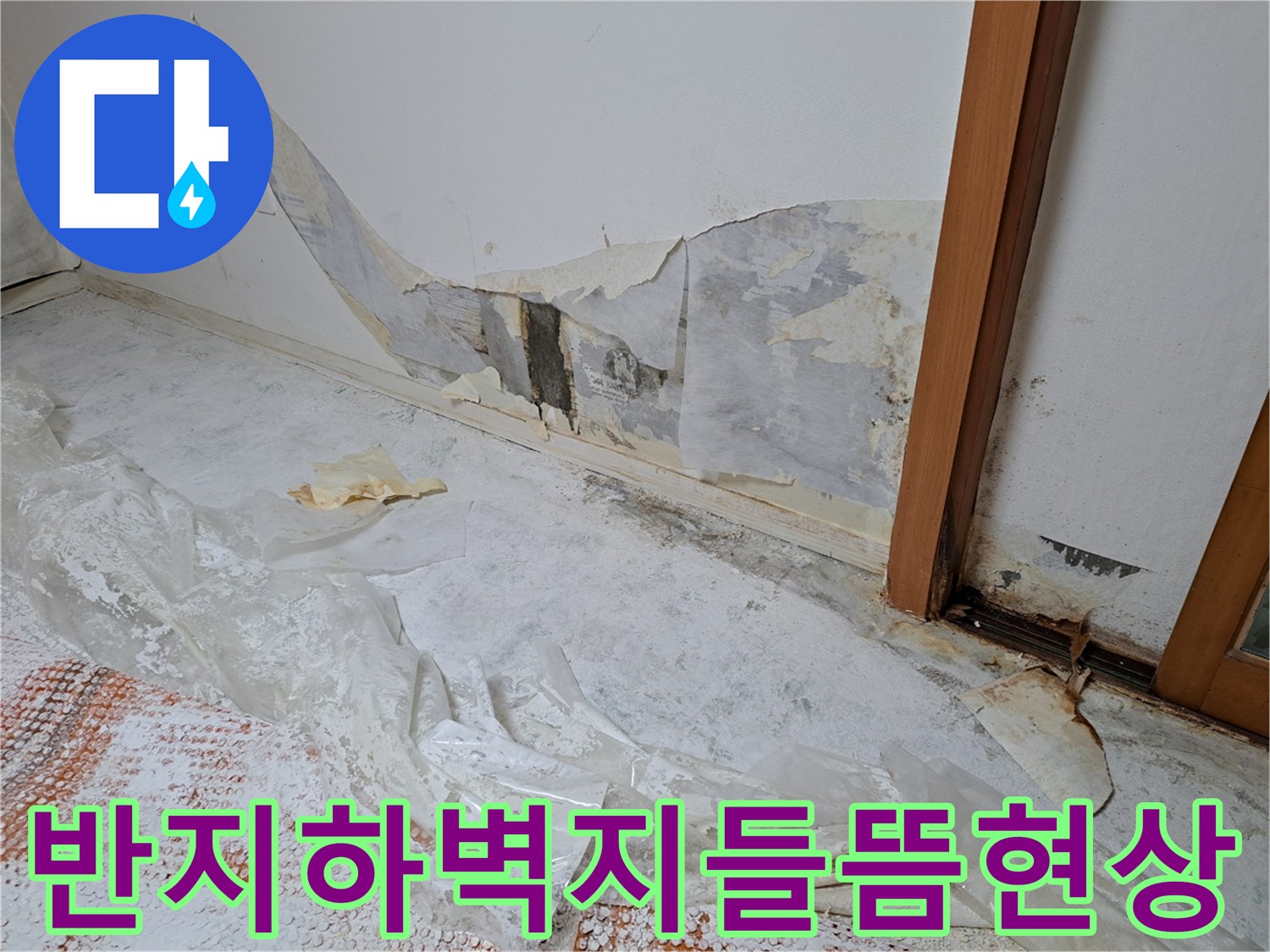 금천구-반지하-세대의-벽지와-바닥재가-젖어-들뜬-상태의-사진입니다.
