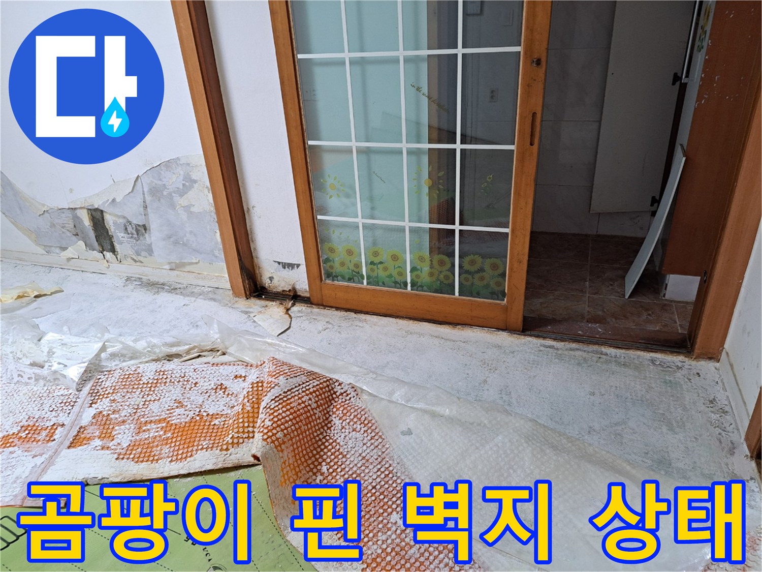 누수가 진행된-벽면의 곰팡이와 변색된 부위