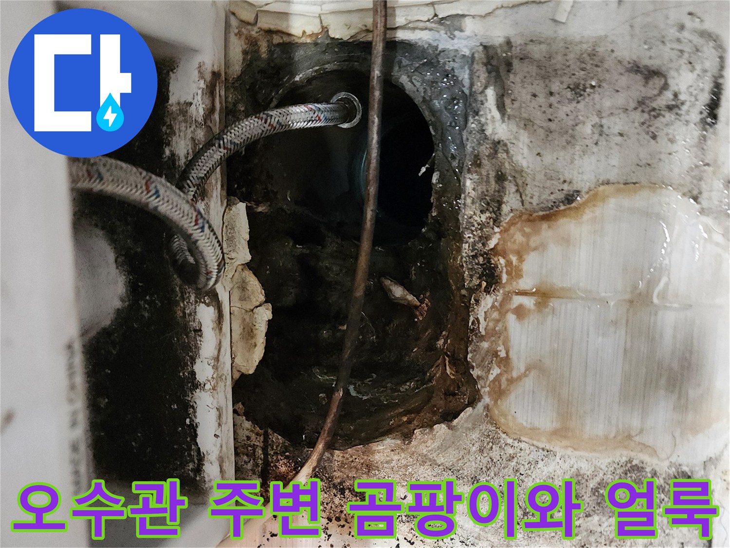 배관 주변에 발생한 검은 곰팡이와 습기로 인한 변색 상태