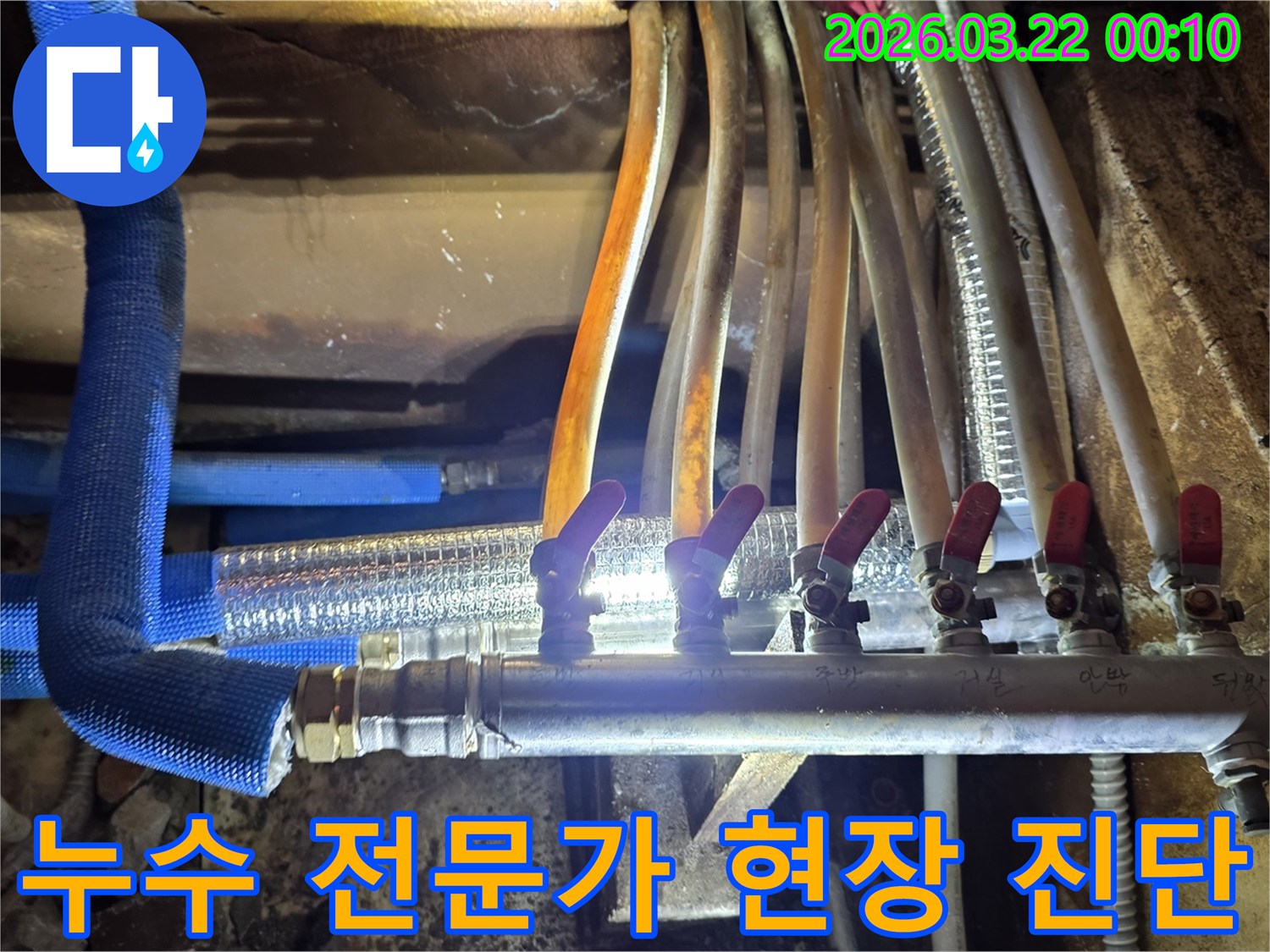숙련된-누수-전문가가-첨단-장비를-활용하여-배관-누수를-정밀하게-진단하는-작업-현장