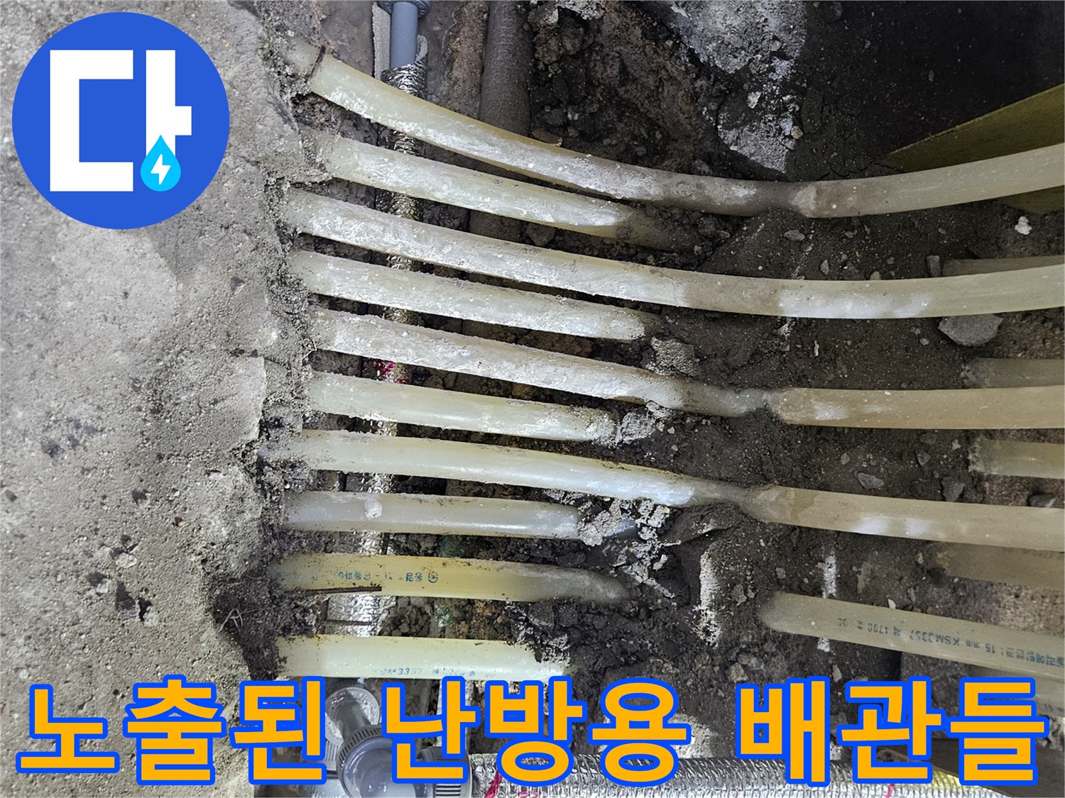 기흥구 싱크대 아래-젖은 바닥과 노출된 엑셀 배층 구조