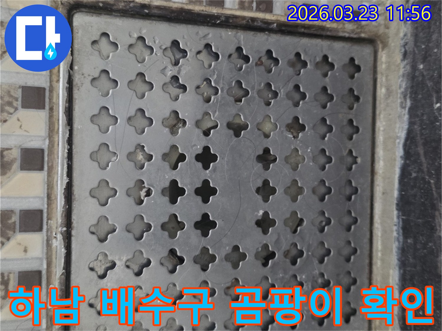 하남-누수-현장-배수구-주변-곰팡이-발견-사진
