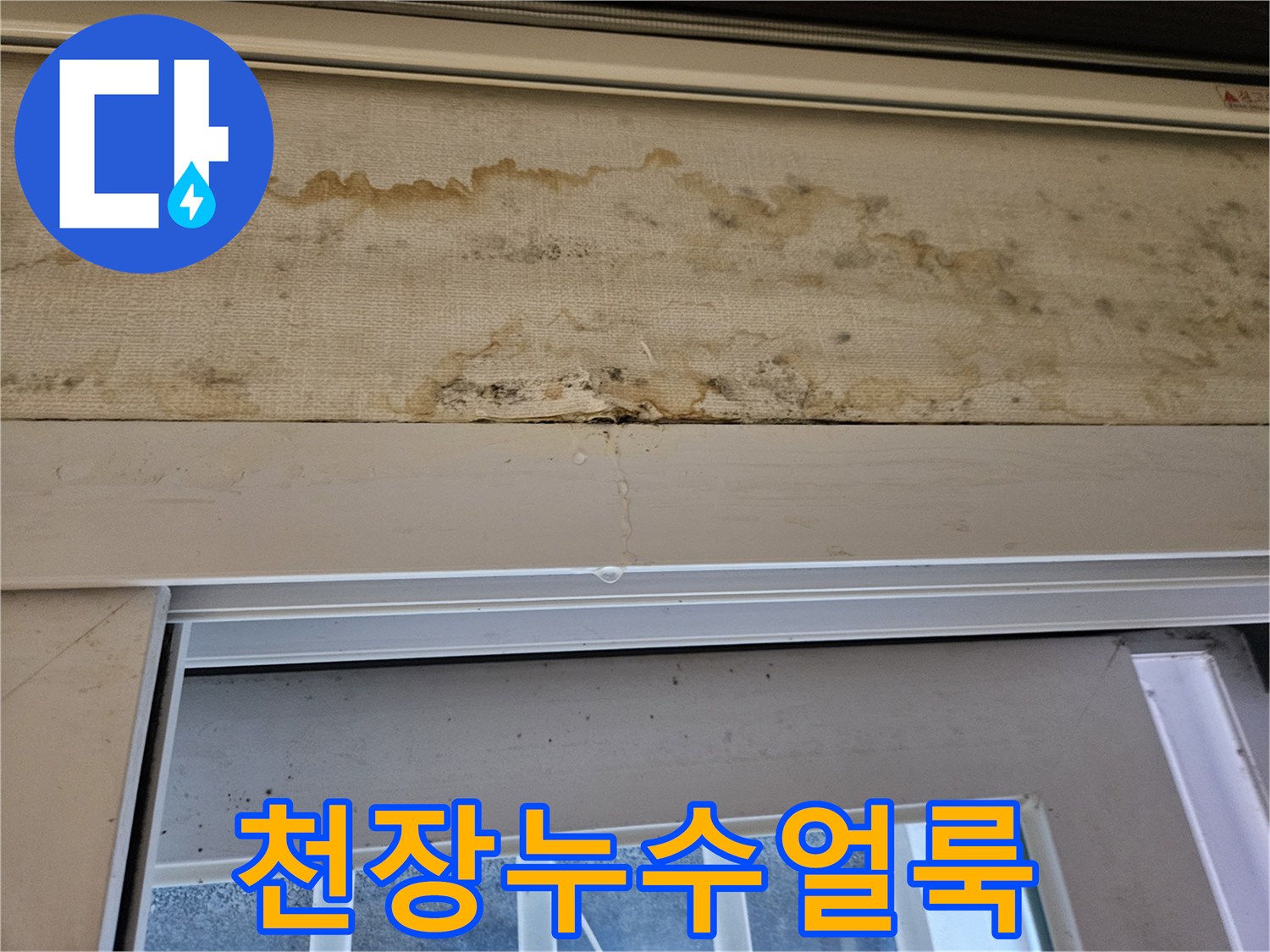 중랑구-현장-천장-벽지-누수-흔적-사진