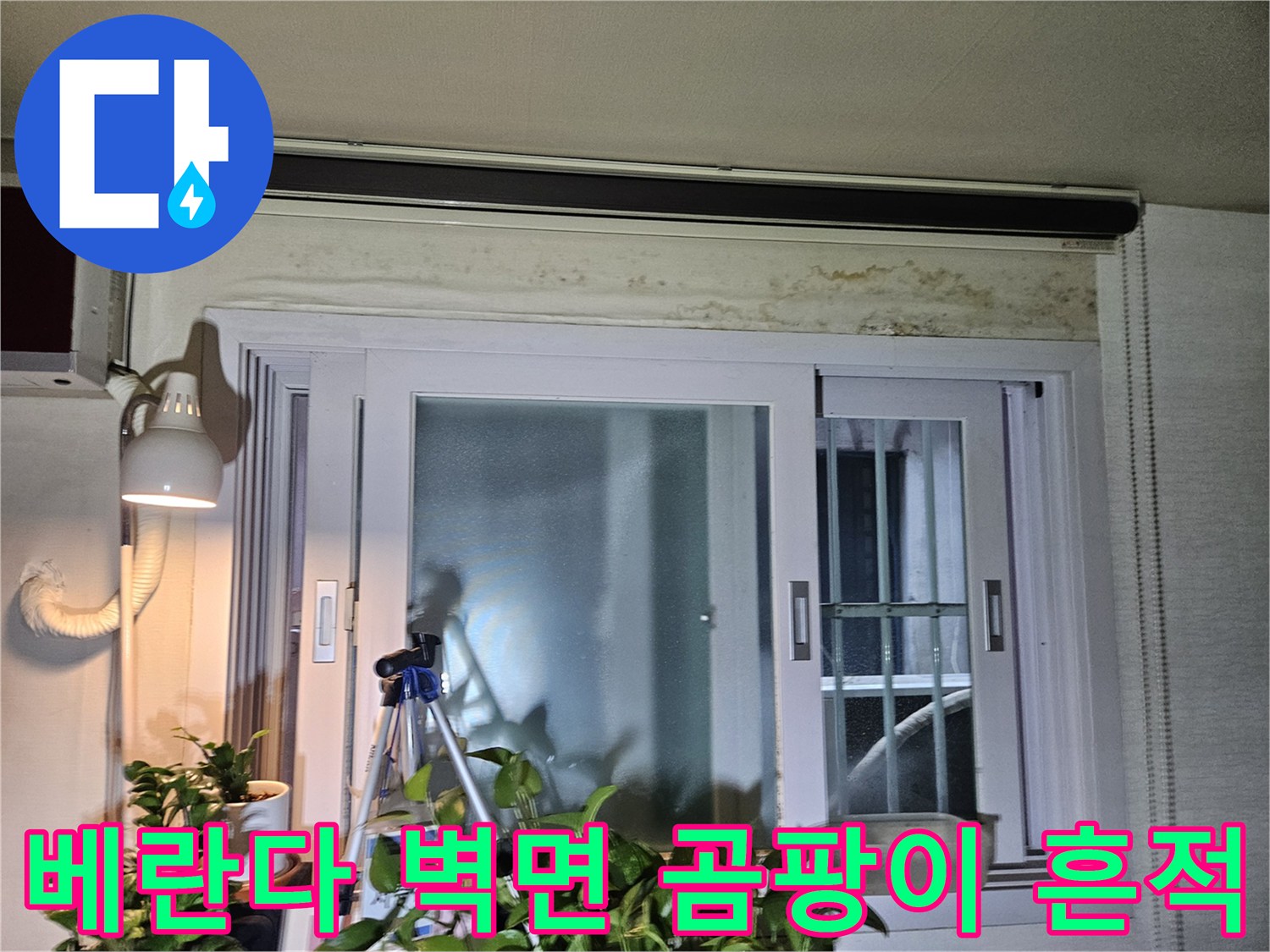창틀 상단부의 누수로 인한 벽지 변색과 곰팡이 발생 현황
