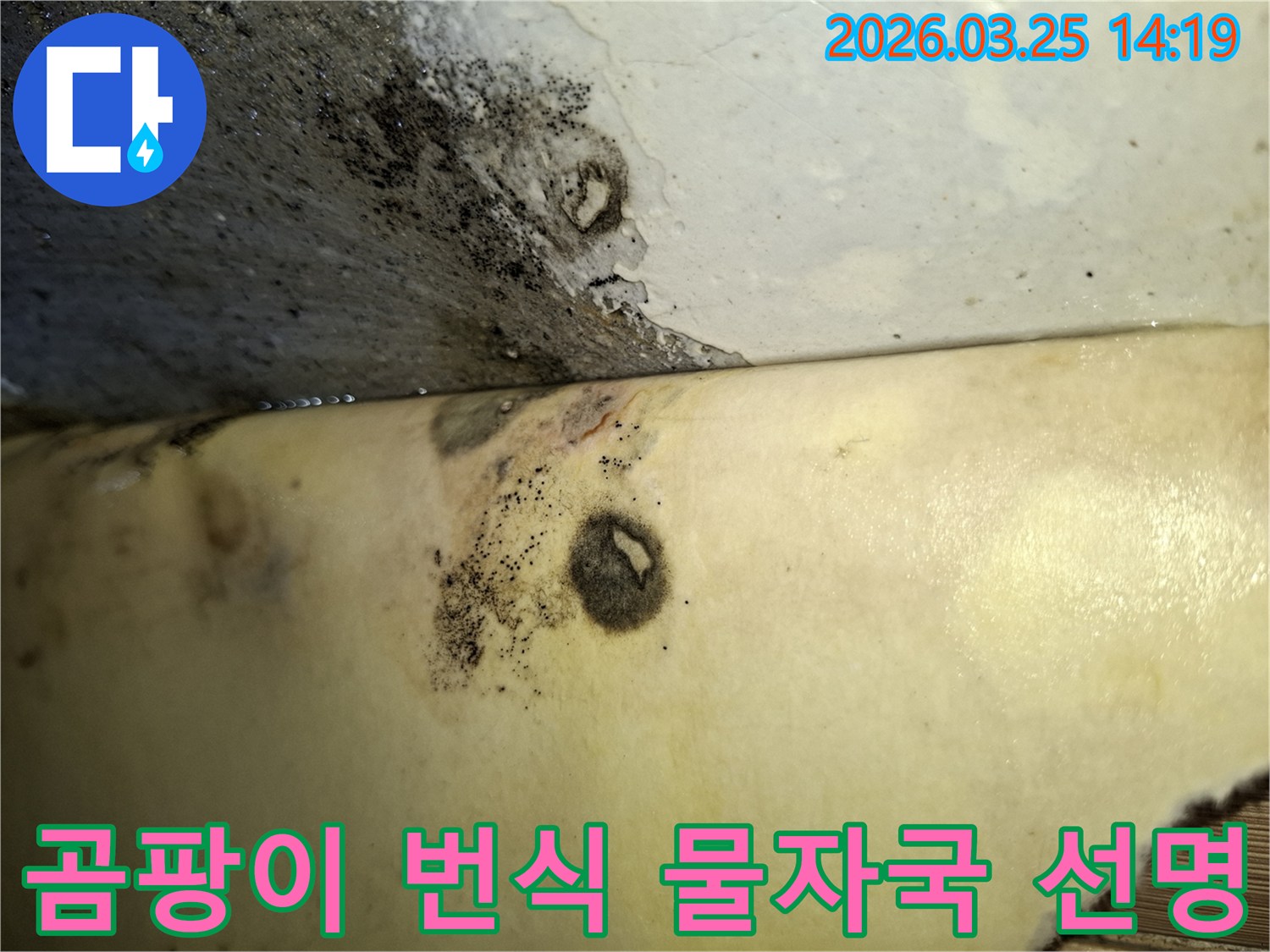 누수 탐지 전-벽면과 천장의 경계에 보이는 곰팡이와 물자국-오염 상태입니다.