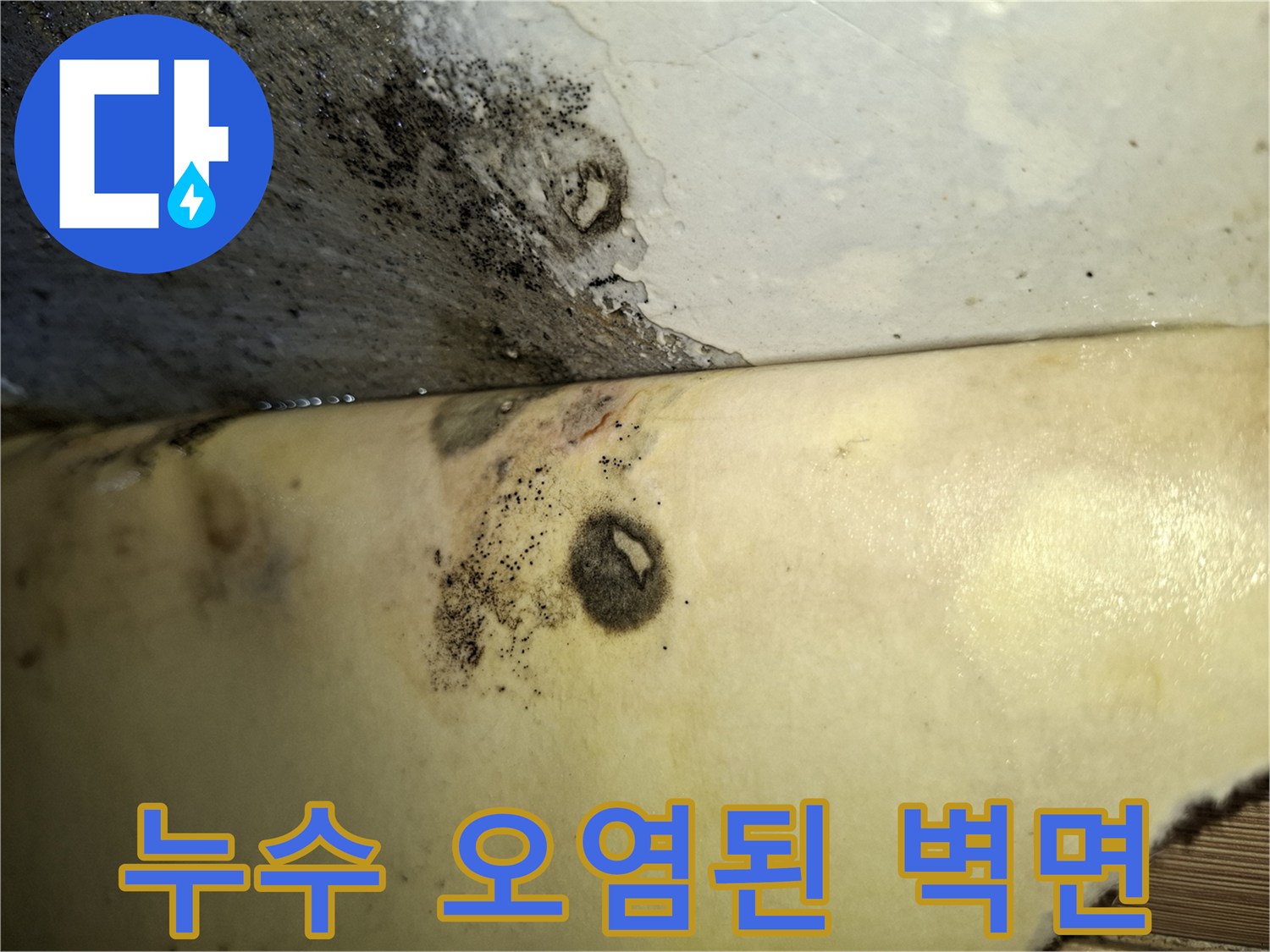 물에-젖어-얼룩지고-곰팡이가-생긴-벽면-부위