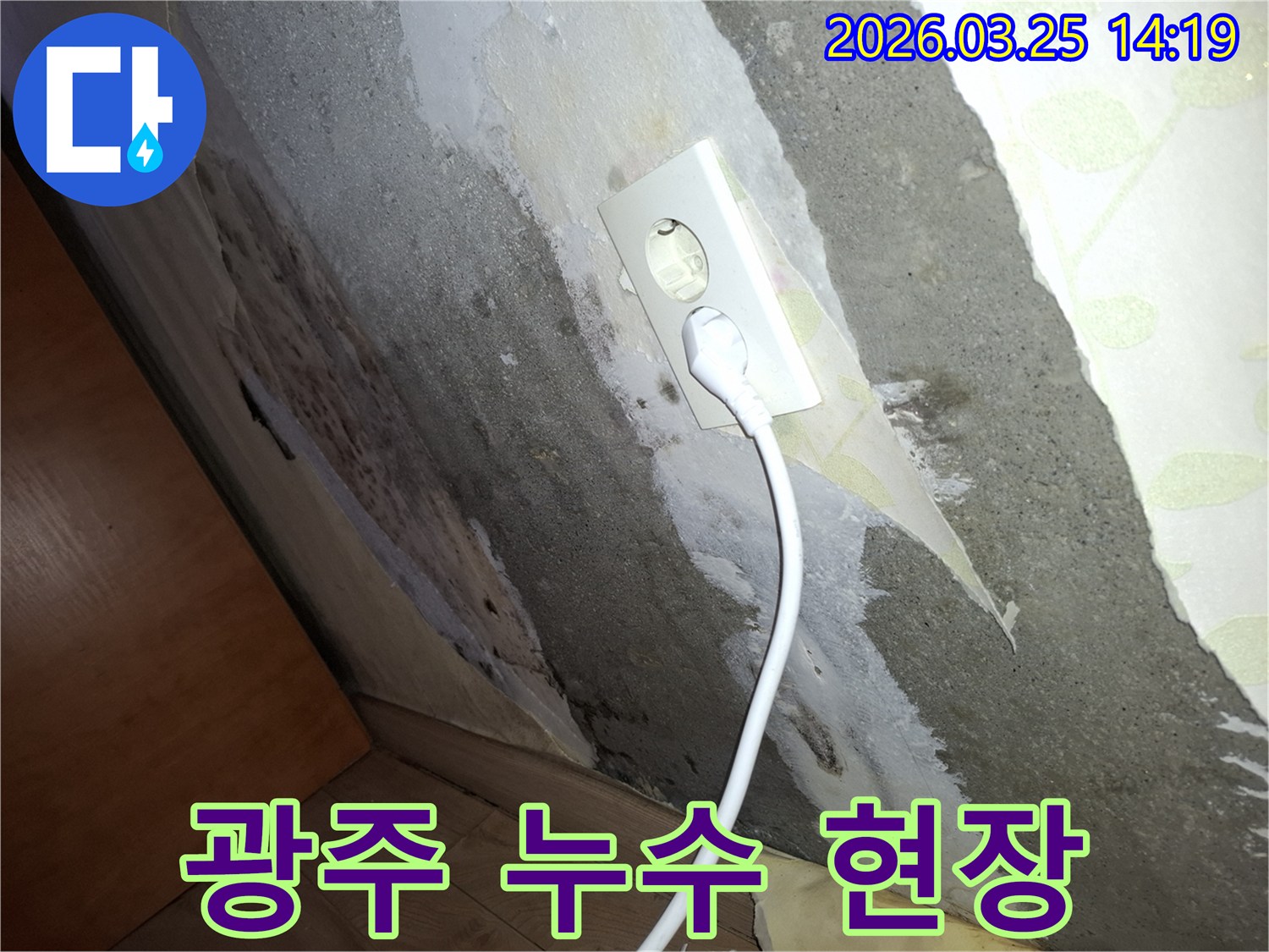 오래된-벽지에-습기가-차서-벗겨지고-벽면-전체에-곰팡이가-퍼진-누수-문제-현장