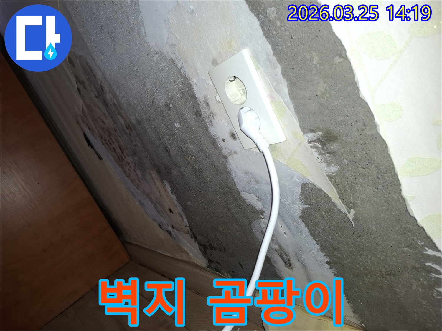 전기-콘센트-옆으로-물이-새어-벽이-손상되고-곰팡이가-피어난-심각한-누수-상황
