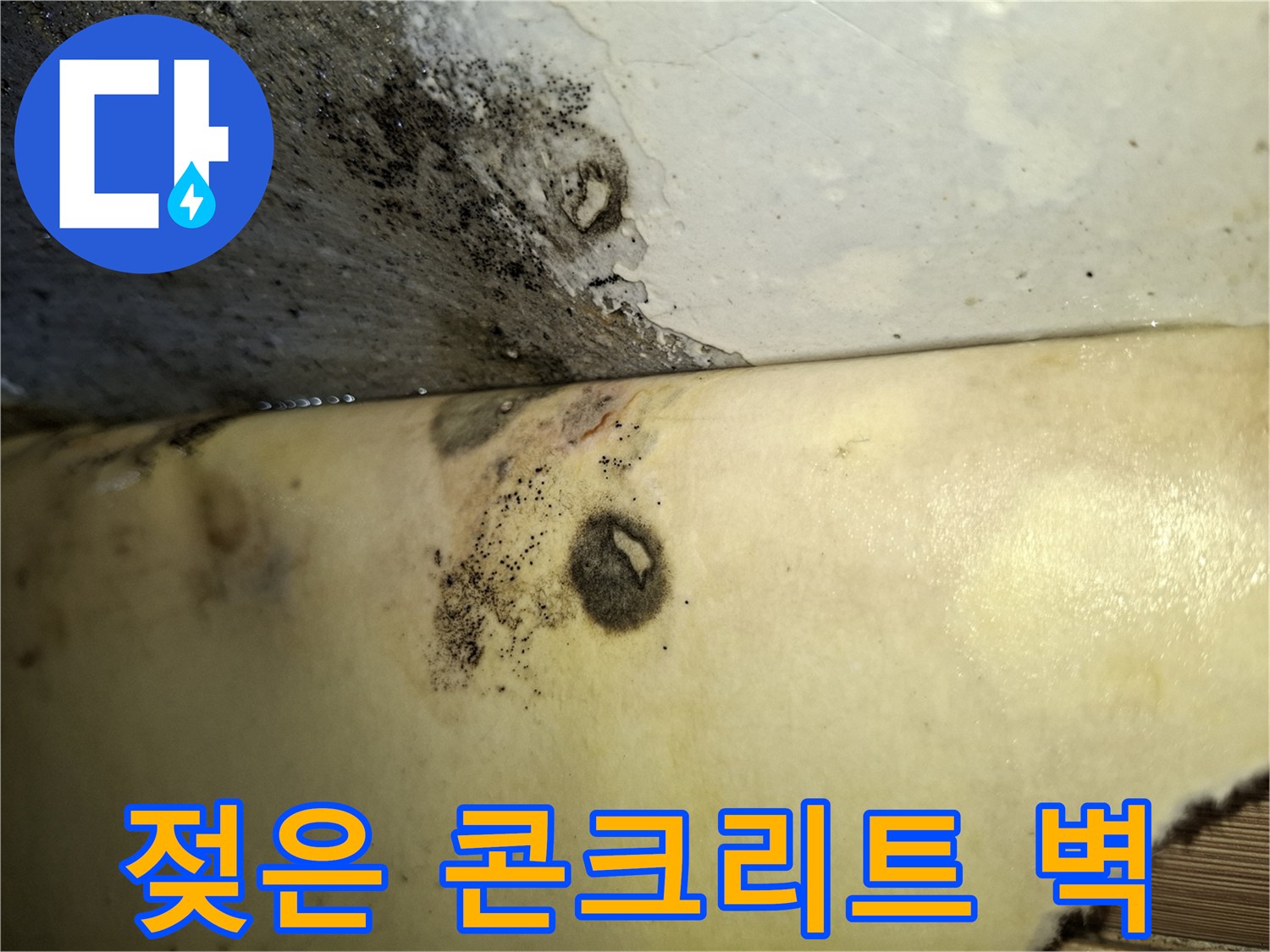 콘크리트 표면에 나타난 습기 얼룩과 곰팡이