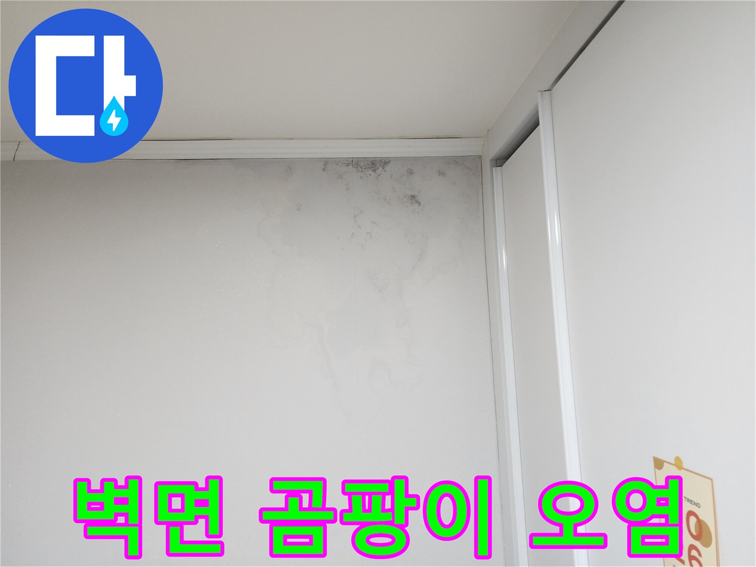 상단 벽지 부위-물샘으로 인한 곰팡이와 얼룩 발생