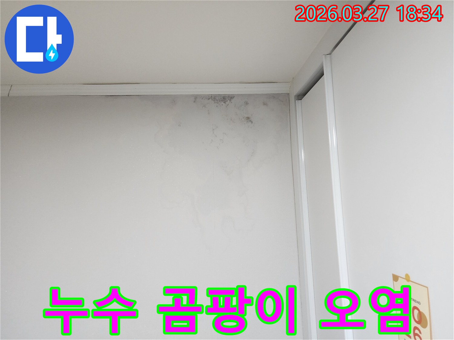주택-내부-벽에-생긴-누수-얼룩과-곰팡이-문제-확인-사진입니다