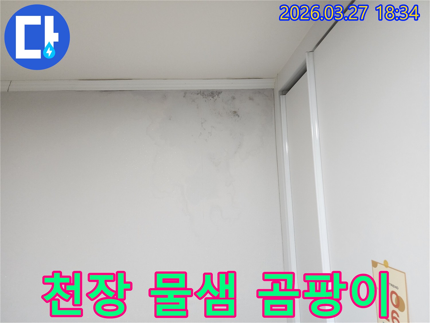 천장-근처-벽면에-발생한-물샘-자국과-심각한-곰팡이-오염-모습을-촬영한-사진입니다