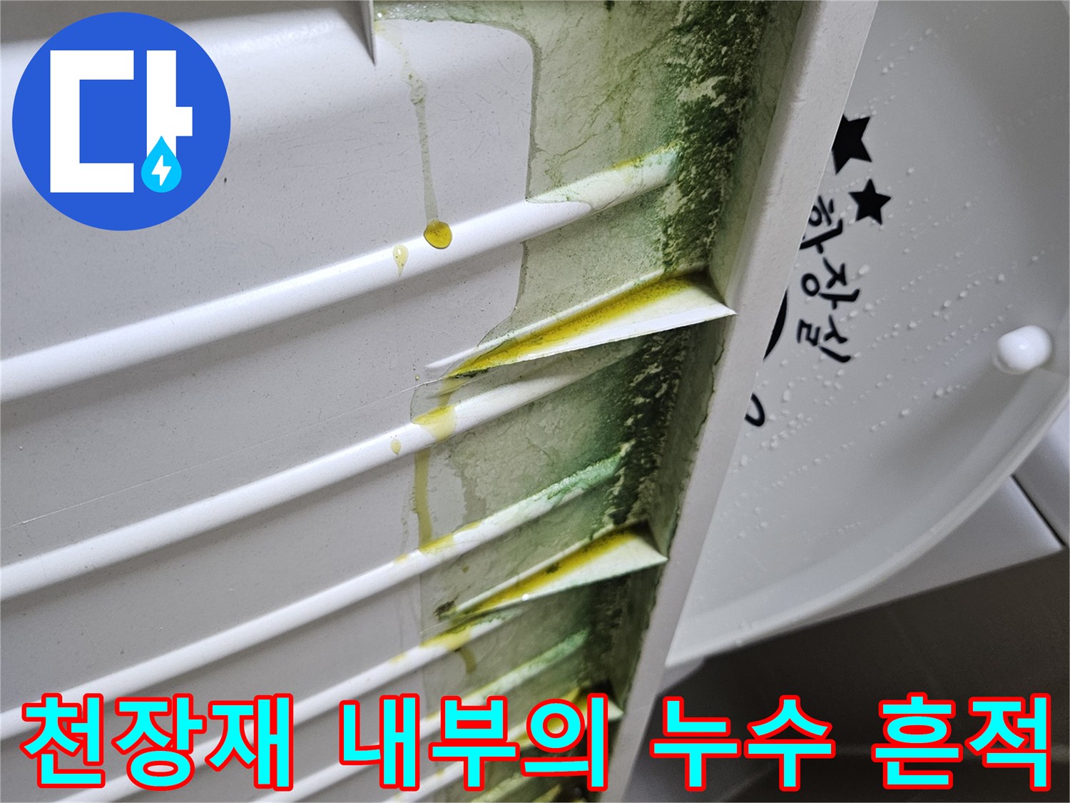화장실-점검구-내부-배관-주변의-곰팡이와-물때