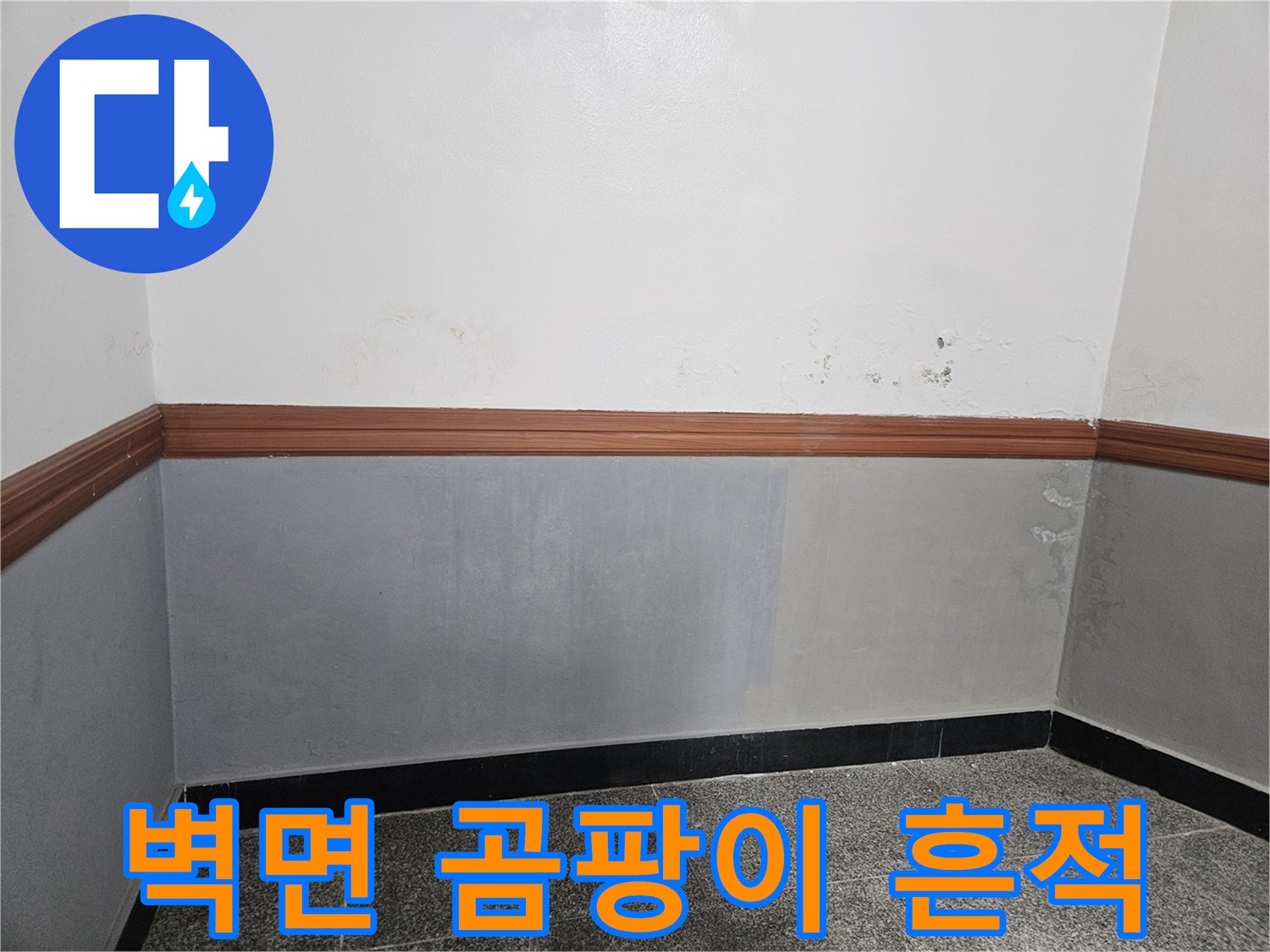 양평 용문면 현장-벽면 하단 곰팡이와 습기 자국