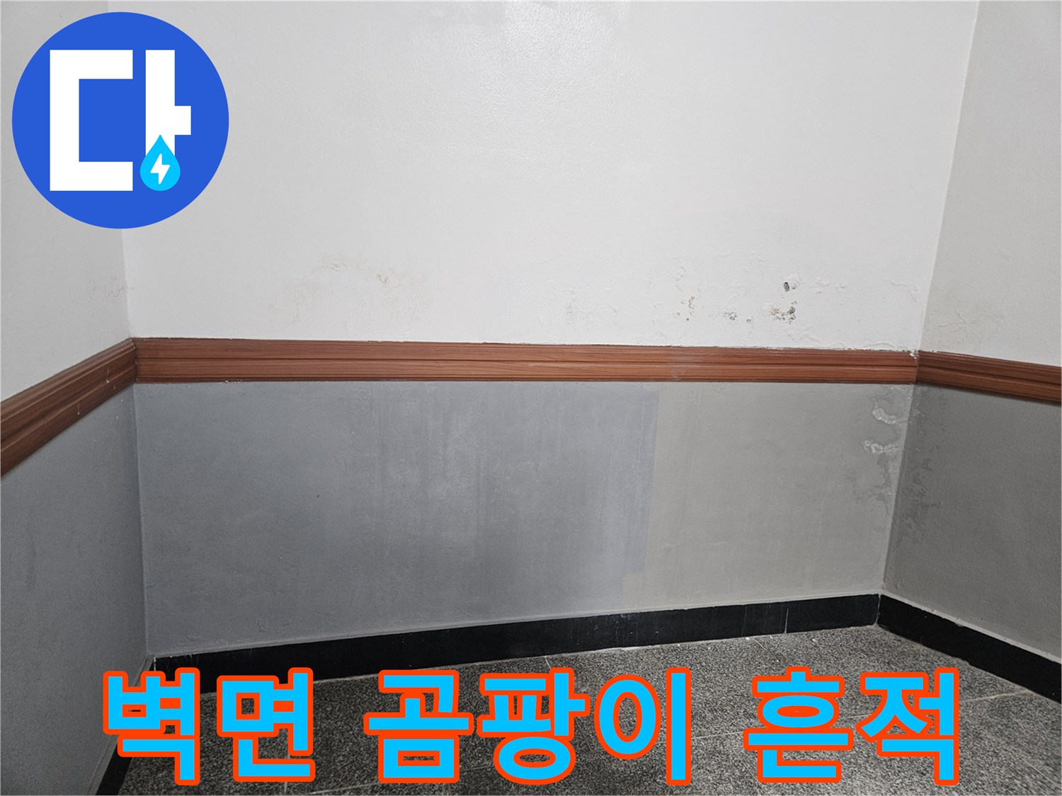 양평군 용문면 현장의-벽지 상단 곰팡이와 습기 얼룩 상태