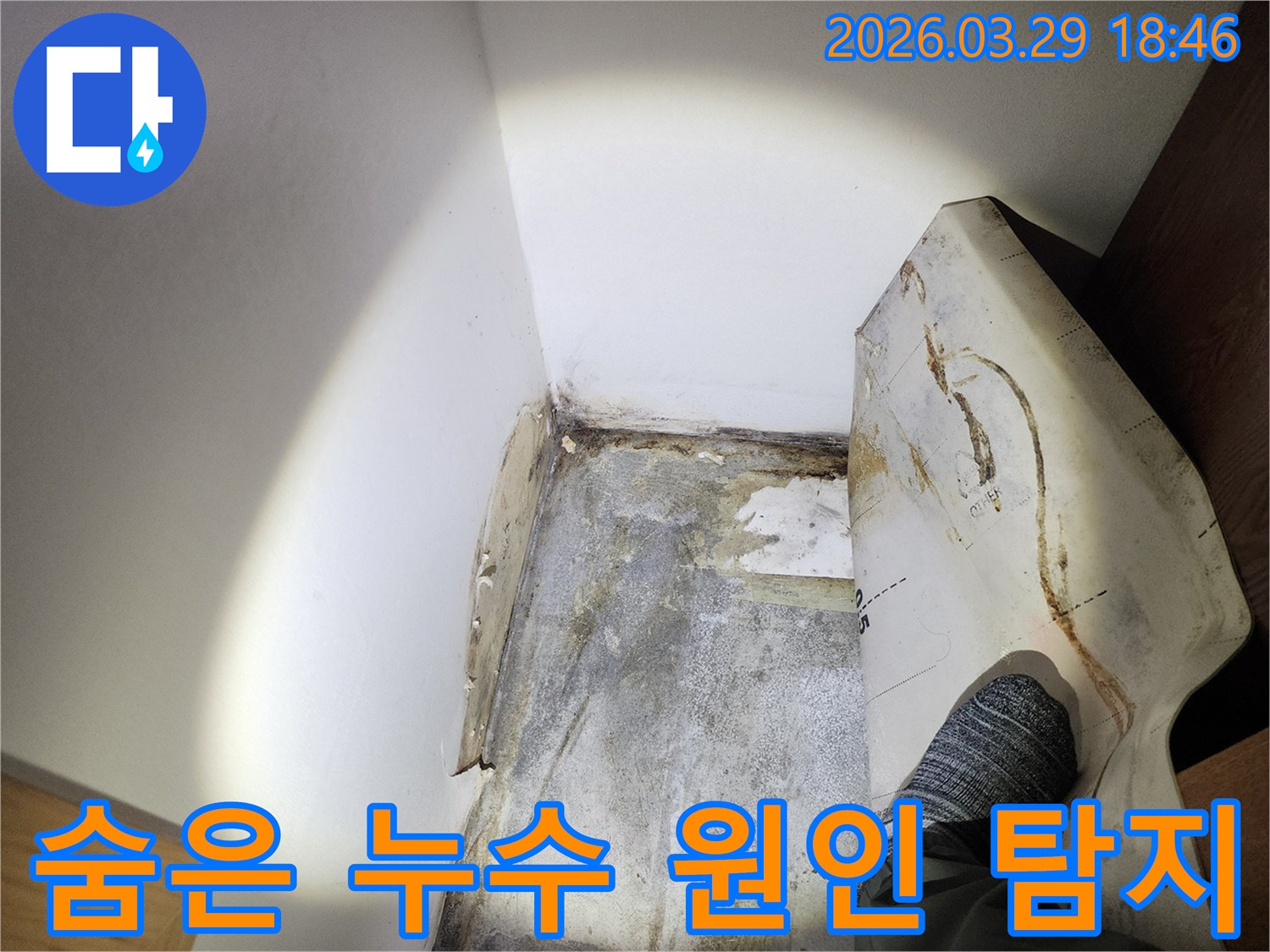 어두운 공간에서-손전등으로-벽면의-습기와-곰팡이-문제를-정밀하게-살피고-있습니다