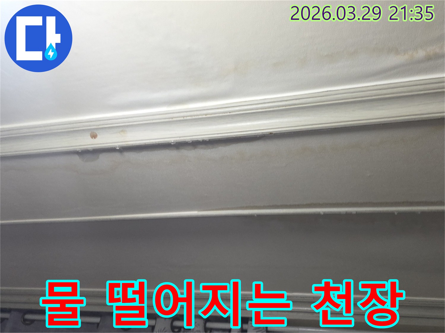 천장-마감재에-누수-얼룩과-물기가-확연히-드러난-모습