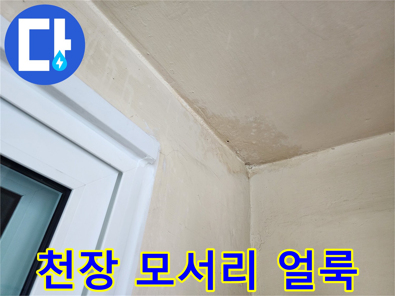 다용도실 천장과 벽면-습기 변색된 부분의 근접 촬영